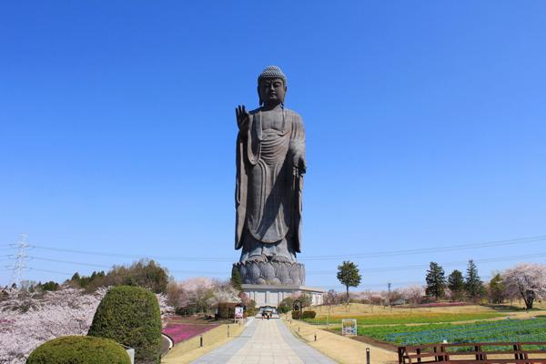 Tượng Phật lớn nhất thế giới Ushiku Daibutsu