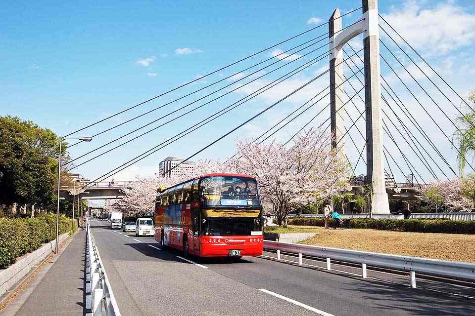 Nhảy xuống xe buýt ở Nhật Bản